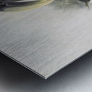 Bycanistes albotibialis 1882 Metal print