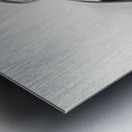 Tockus deckeni 1882 Metal print