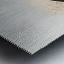 Bucorvus cafer 1882 Metal print