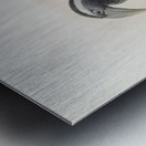 Tockus hartlaubi 1882 Metal print