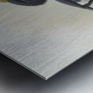 Bycanistes cylindricus 1882 Metal print