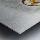 Rhytidoceros undulatus 1882 Metal print