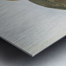 Hydrocorax semigaleatus 1882 Metal print