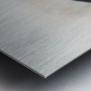 Anthracoceros fraterculus 1882 Metal print