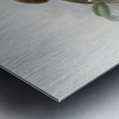 Tockus camurus 1882 Metal print