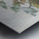 Lophoceros nasutus 1882 Metal print