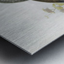 Tockus melanoleucus 1882 Metal print