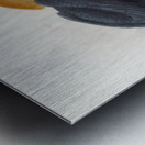 Rhytidoceros plicatus 1882 Metal print