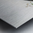 Anorrhinus leucolophus 1882 Metal print