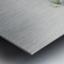 Cranorrhinus waldeni 1882 Metal print