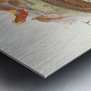 Thaumalea picta. 1872 Metal print