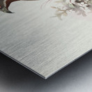 Tetraophasis obscurus. 1872 Metal print