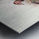 Phasidus Niger 1872 Metal print