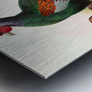 Phasianus versicolor. 1872 Metal print