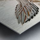 Purcasia Darwini. 1872 Metal print