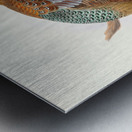 Phasianus elegans. 1872 Metal print