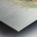 Polyplectron Germaini. 1872 Metal print