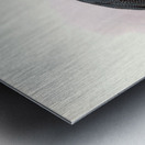 Numida Pucherani. 1872 Metal print