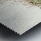 Polyplectron chalcurum. 1872 Metal print