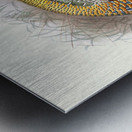 Melaeacris Ocellata 1872 Metal print