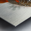 Ceriornis melanocephala. 1872 Metal print