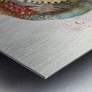 Phasianus Deccollatus 1872 Metal print