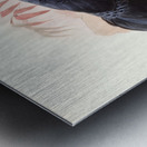 Euplocamus melanotis. 1872 Metal print