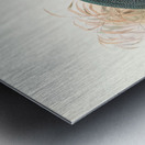 Numida Verreauxii. 1872 Metal print