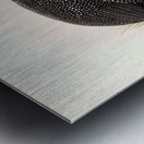 Numida coronata. 1872 Metal print