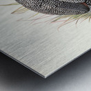 Numida mitrata. 1872 Impression metal