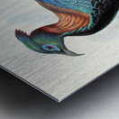 Lophophorus Lhuysii. 1872 Metal print