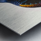 Euplocomus ignitus. 1872 Metal print