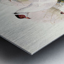 Crossoptilon thibetanum. 1872 Metal print