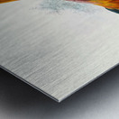 Gallus ferrugineus. 1872 Metal print