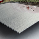 Ithalginis cruentus. 1872 Metal print