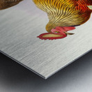 Gallus La-Fayettei. 1872 Metal print