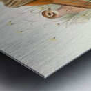 Phasianus colchicus. 1872 Metal print