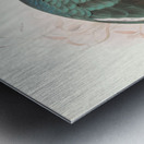 Lophophorus Sclateri. 1872 Metal print