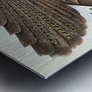 Argus Grayi. 1872 Metal print