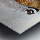 Phasianus Reevesii. 1872 Metal print