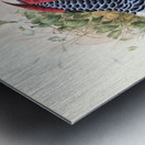 Euplocomus Swinhoei. 1872 Metal print