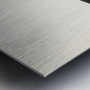 Podiceps cristatus Metal print