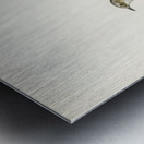 Prunella modularis Metal print