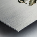 Dryobates minor Metal print