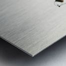 Aegithalus caudatus Long-tailed tit Metal print