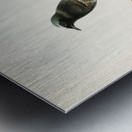 Aegithalus caudatus Long-tailed tit Metal print