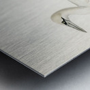 Sula bassana Metal print