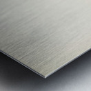 Twite Acanthis flavirostris Metal print