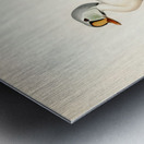 Somateria spectabilis Metal print