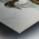 Eider Somateria mollissima Metal print